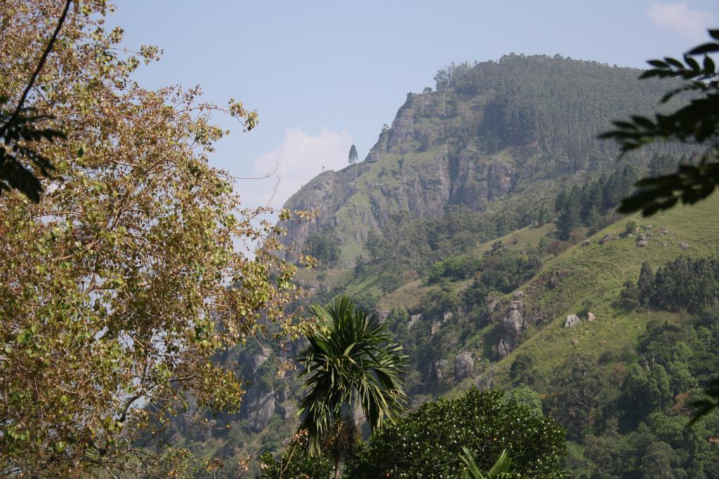 Village View Homestay Ella Extérieur photo