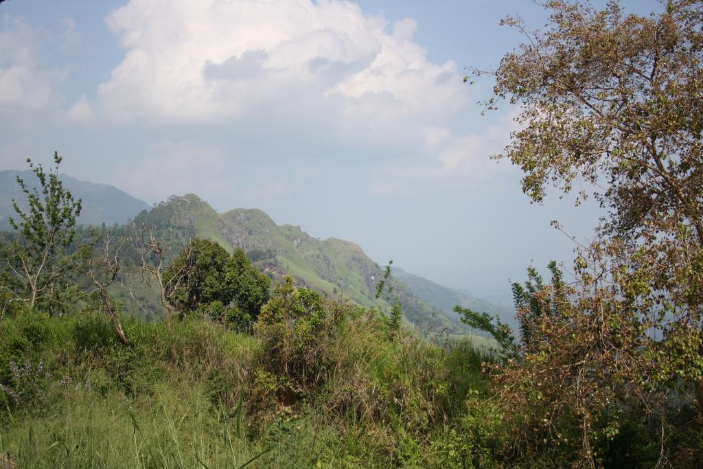 Village View Homestay Ella Extérieur photo