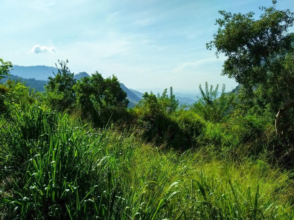 Village View Homestay Ella Extérieur photo
